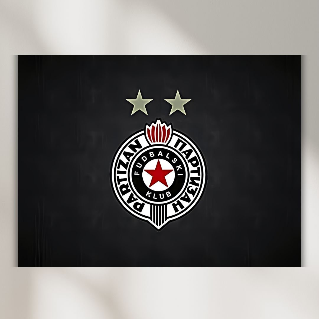 Canvas slika FK Partizan